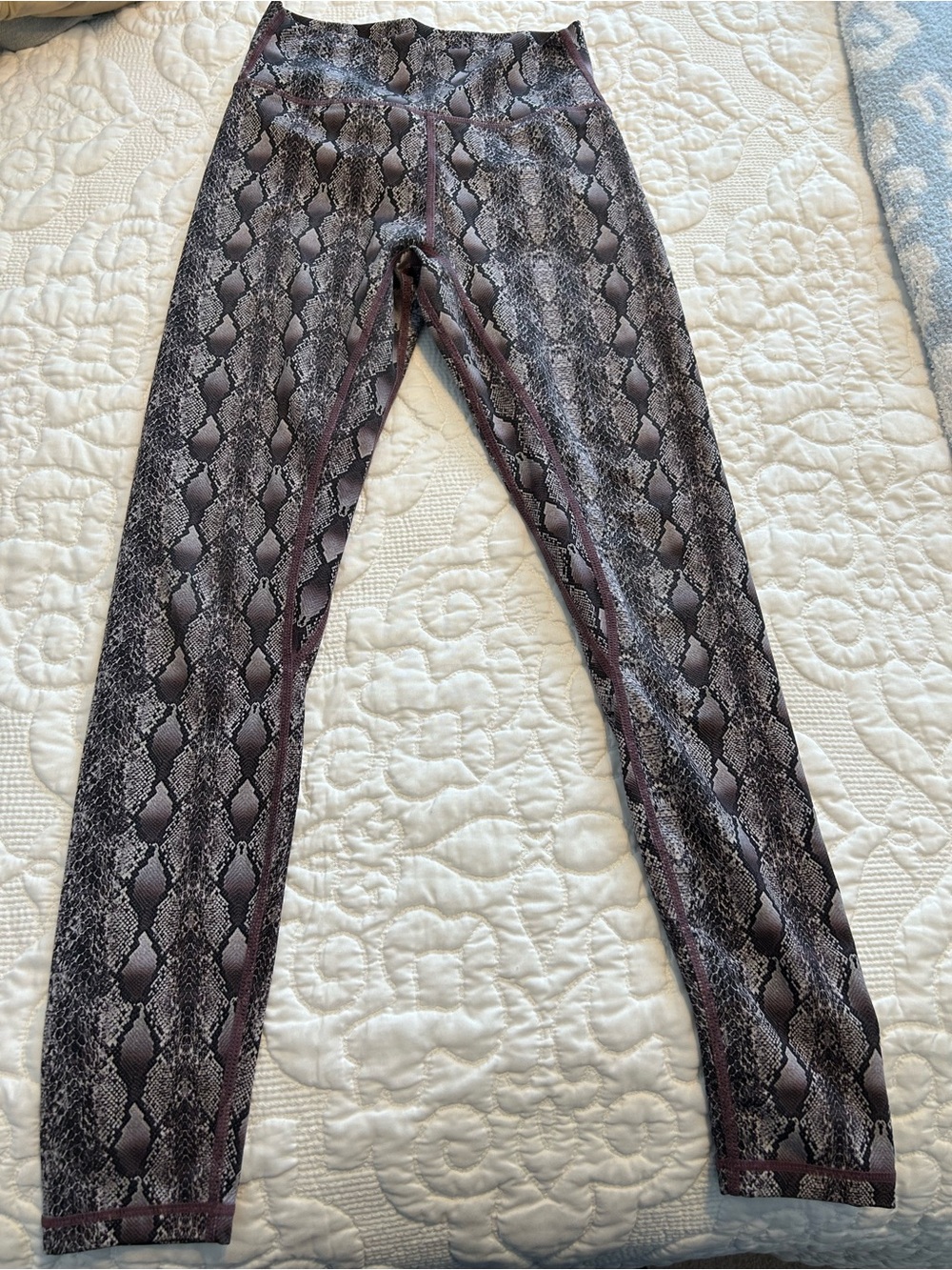 Til You Collapse Snake Print Leggings in Gray and Brown